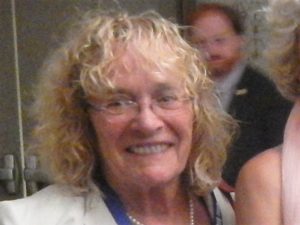 The recent appointment of Somerset County Democratic Committee Chair Peg Schaffer to the position of NJ Democratic State Committee Vice Chair has some party members thinking she may be a compromise decision between the current two contenders for the organization's Chair position, which is currently held by John Currie and being challenged by Leroy Jones.