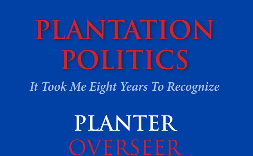 The book cover of Plantation Politics. 