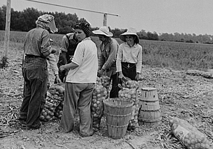 Credit of the Library of Congress These women were harvesting unions in New Jersey in 1938 without wage and hour protections other American workers would come to take for granted. 21st century farm workers still lack them.